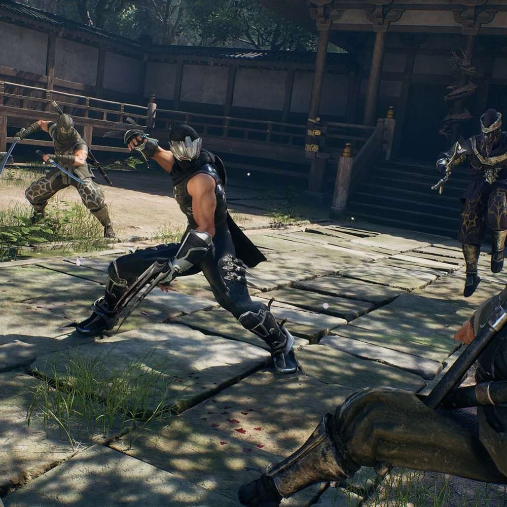 ninja-gaiden-2-black-sosogames